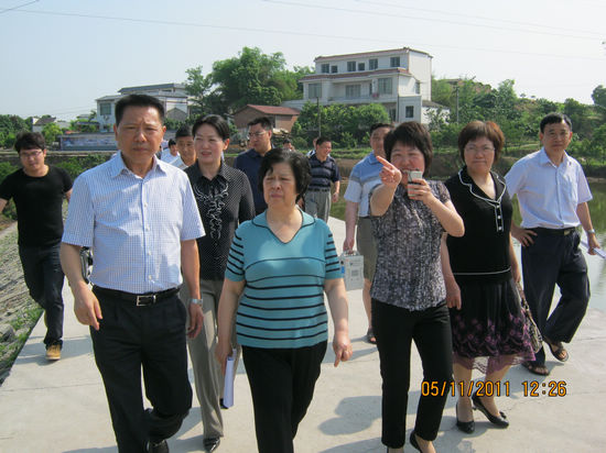 泸州市政协主席会议成员视察合江县新农村建设(图1)