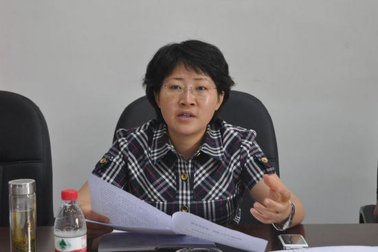 龙马潭区委书记郑蓉到胡市镇调研(图3)