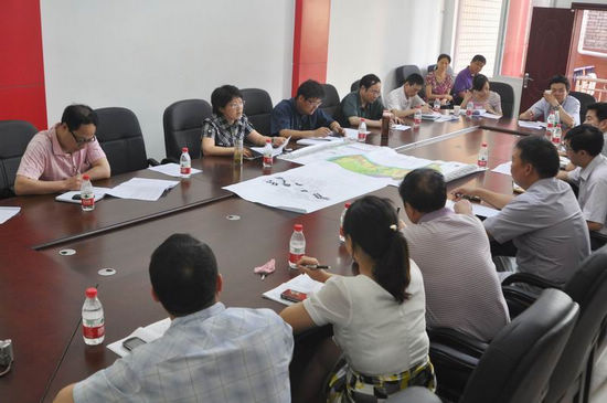 龙马潭区委书记郑蓉到胡市镇调研(图2)