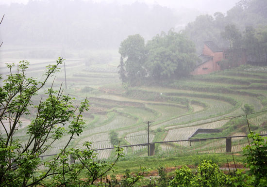 纳溪区：人工增雨助春耕&nbsp;效果好群众喜(图2)