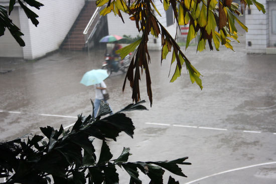 纳溪区：人工增雨助春耕&nbsp;效果好群众喜(图1)
