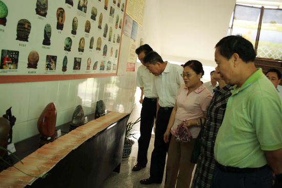 泸州市人大常委会一行到罗汉镇调研(图1)