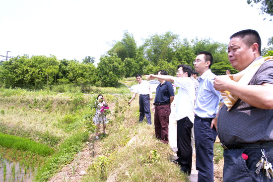 泸县县委副书记龚百川到云龙镇调研农业机械化(图1)