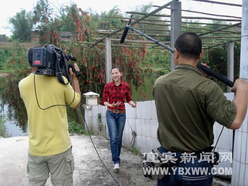 央视关注“南溪白鹅”(图2)