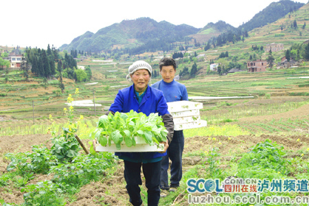 叙永七旬太婆成“酒仙”天天要喝一斤酒(图1)