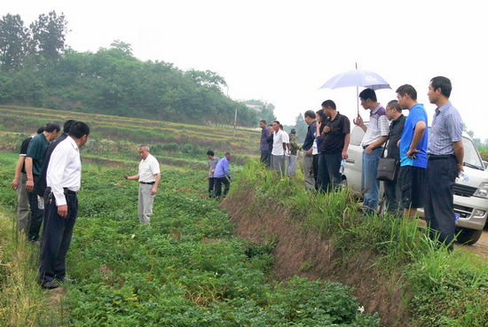 通滩镇：面对面技术指导&nbsp;助农增收致富(图3)