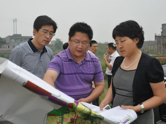 龙马潭区委书记郑蓉到罗汉镇调研(图3)