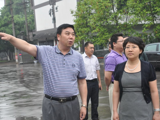 龙马潭区委书记郑蓉到罗汉镇调研(图2)