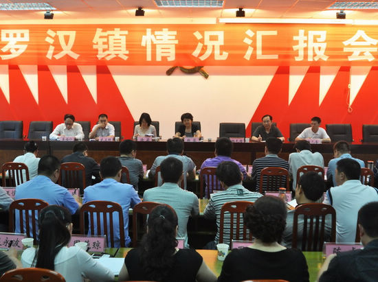 龙马潭区委书记郑蓉到罗汉镇调研(图1)