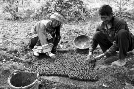 高温地旱 川南热盼向家坝“解渴”(图3) 高温地旱 川南热盼向家坝“解渴”(图3)