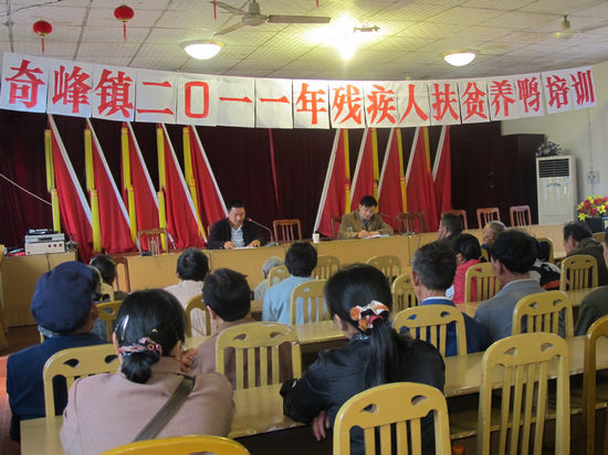 奇峰镇：鸭苗送去贴心关怀(图2)
