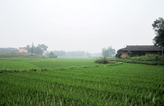 佛荫镇百亩蔬菜基地&nbsp;火热招商中