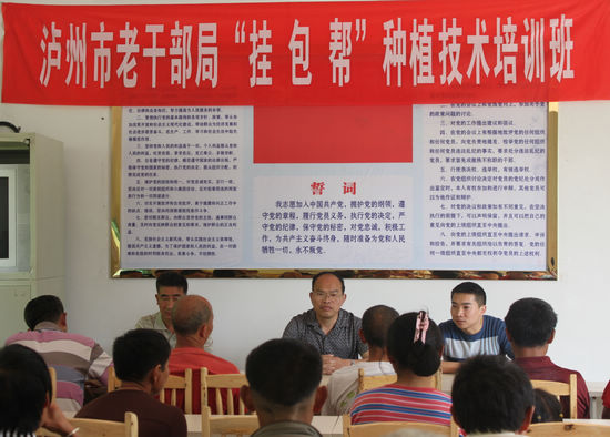 马岭镇：农技师传艺进村来(图1)