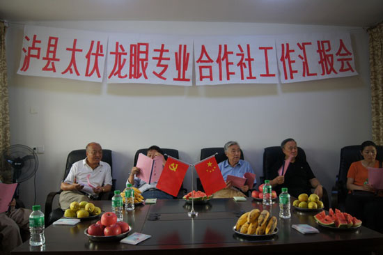 省老科协专家调研太伏龙眼发展