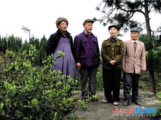 内江文化“活化石”——非物质文化遗产集萃(图3)