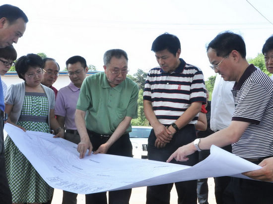 刘国强到龙马潭区调研社区建设和重点工程建设情况(图2)