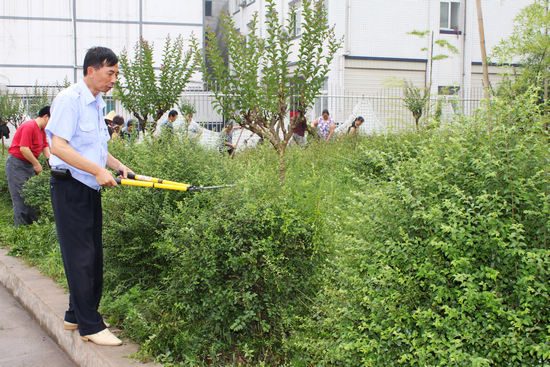马岭镇组织低保户进行公益劳动 提高回馈意识(图1) 马岭镇组织低保户进行公益劳动 提高回馈意识(图1)