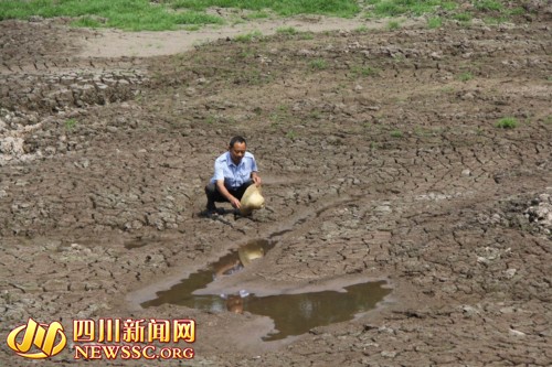 宜宾：长宁县八成水田喊渴4万人饮水困难
