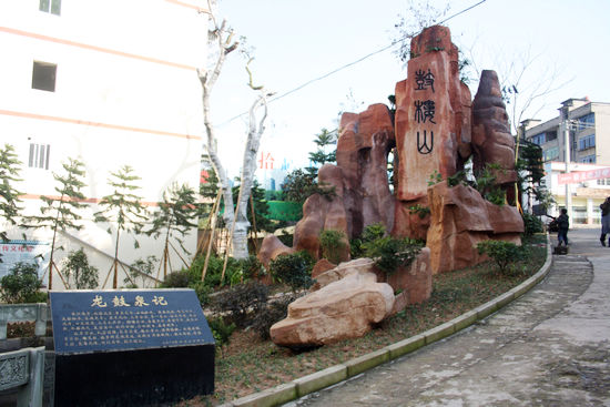“省级环境优美示范镇”龙车镇掠影(图3)