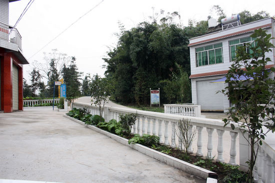 “省级环境优美示范镇”龙车镇掠影(图6)