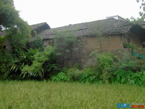 泸州分水陈家大院精美石刻(图1)