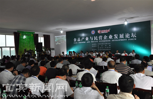 食品产业与民营企业发展论坛在南溪举行(图2)