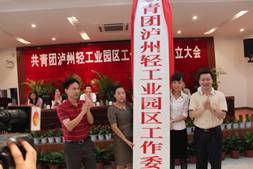 张彤莅泸调研&nbsp;指导乡镇街道组织格局创新工作(图1)