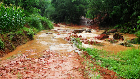 大石乡：暴雨袭击龙井村&nbsp;暂无较大经济损失(图1)