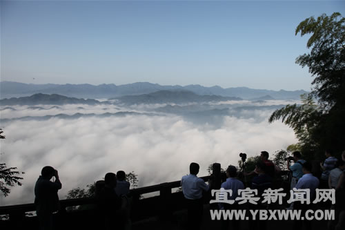 宜宾蜀南竹海久旱大雨后现云海景观(图1)