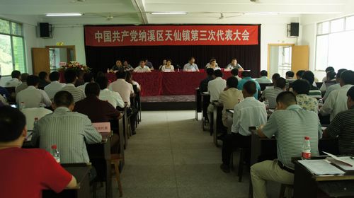 天仙镇召开第三次党代会(图1)