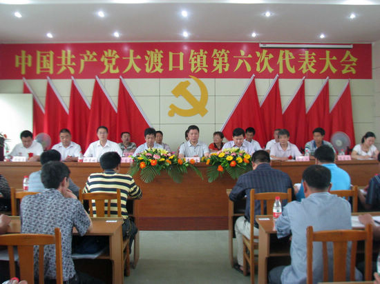 大渡口镇：顺利完成换届选举工作