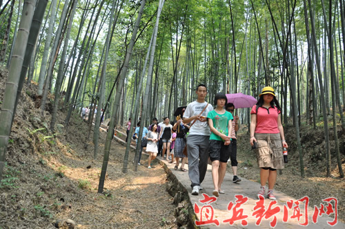 蜀南竹海荣获“四川美丽之最——熊猫奖”