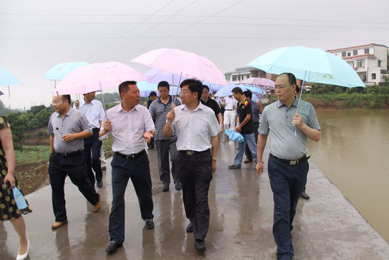 省委农工委领导高度评价合江新农村建设