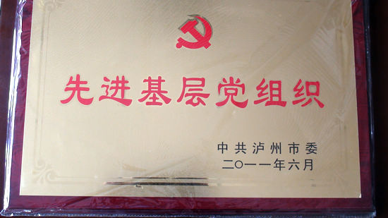 长航泸州公安获多项表彰奖励(图1) 长航泸州公安获多项表彰奖励(图1)