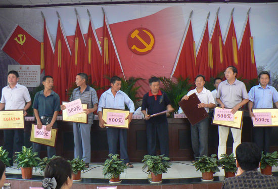 牛滩镇召开庆祝建党90周年表彰大会