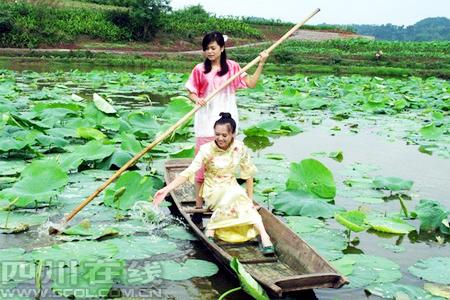 宜宾永兴镇万亩荷花次第开&nbsp;八方游客逐浪来(图1)