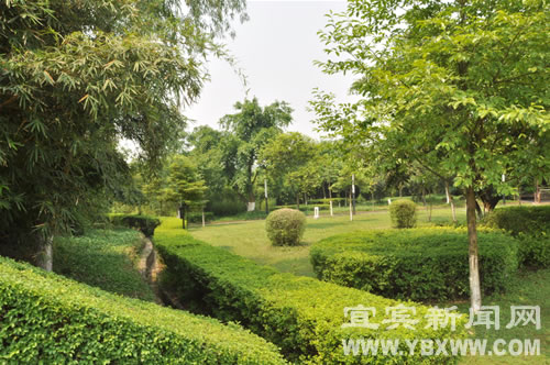 吴光镭:长宁要高举“生态环保”的大旗 抓旅游促发展(图14) 吴光镭:长宁要高举“生态环保”的大旗 抓旅游促发展(图14)