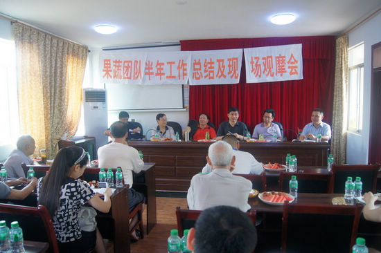 泸县科协果蔬团队到太伏镇参观龙眼种植基地