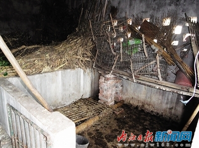 猪价,怎一个“涨”字了得?内江猪价上涨情况调查(图2) 猪价,怎一个“涨”字了得?内江猪价上涨情况调查(图2)