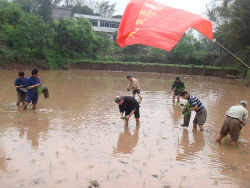 永宁河畔党旗红-记省先进基层党组织:纳溪天仙镇银罗村党支部(图3) 永宁河畔党旗红-记省先进基层党组织:纳溪天仙镇银罗村党支部(图3)