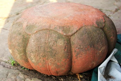 百年石莲花弃荒野(图1) 百年石莲花弃荒野(图1)