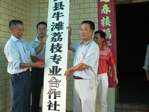 牛滩镇荔枝合作社成立(图3) 牛滩镇荔枝合作社成立(图3)