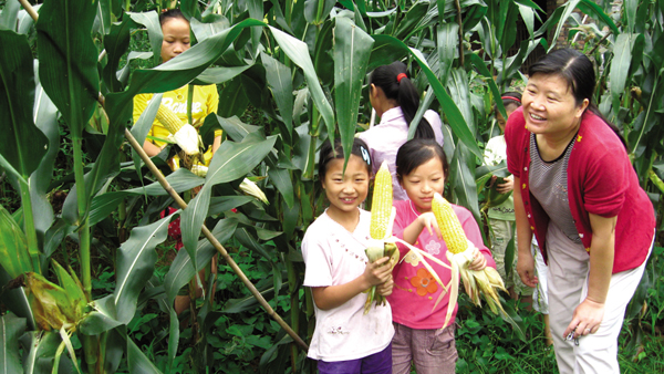 蓝田街道：村支书自掏腰包办免费暑期班(图1)