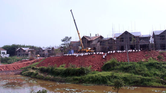 天仙镇牟观村&nbsp;村美民乐(图1)