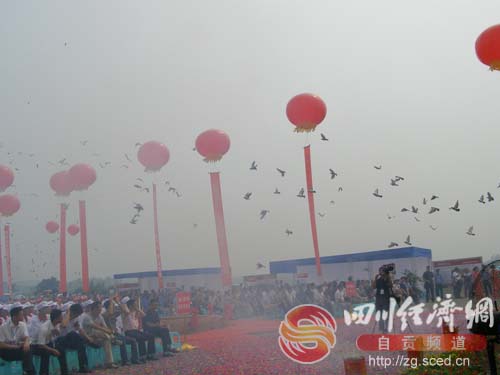 自贡市新星源投资10.5亿元建设生猪肉牛养殖基地(图9) 自贡市新星源投资10.5亿元建设生猪肉牛养殖基地(图9)