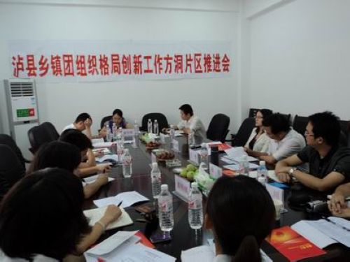 泸县团组织格局创新工作片区例会在方洞召开(图1)