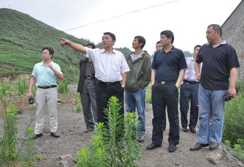 川煤集团党委副书记于忠到威达公司叙永片区检查指导工作(图1)
