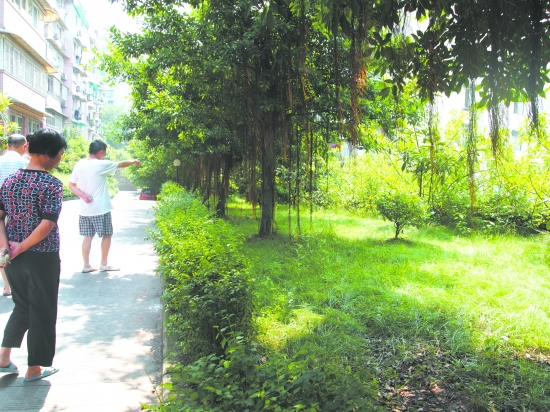 自贡一小区停车难&nbsp;部分业主不爱车位爱绿地(图1)