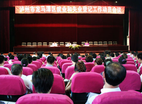 龙马潭区召开就业失业登记动员会(图1)