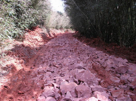 重民生&nbsp;天仙镇林区致富路四通八达遍乡村(图3)